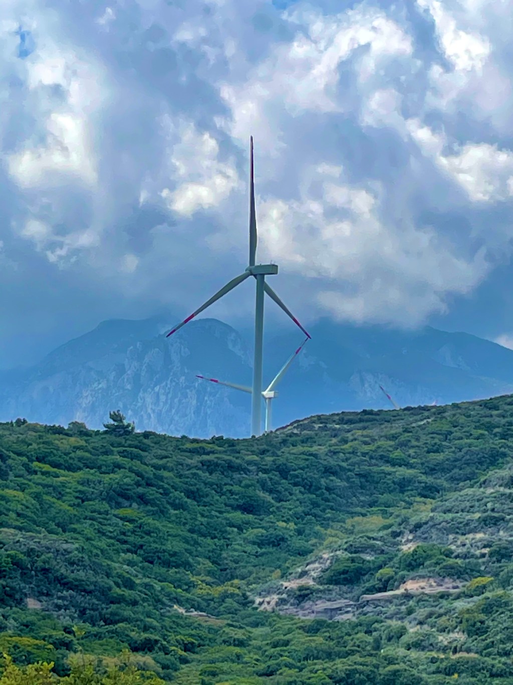 AB’de İklim Kanunu Yasalaşma Sürecindeyken Türkiye ne&nbsp;yapıyor?