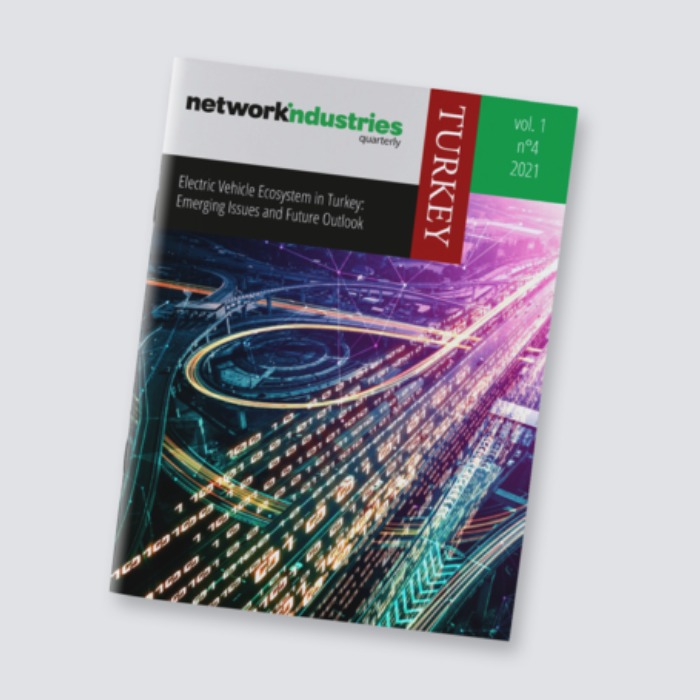 Electric Vehicle Ecosystem in Turkey: Emerging Issues and Future&nbsp;Outlook